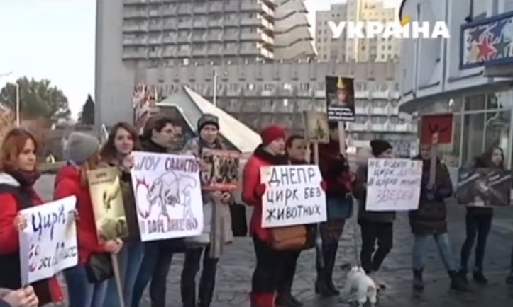 «Цирк без животных»: акция протеста в Днепре