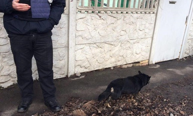 В Днепре сотрудники полиции спасли собаку 