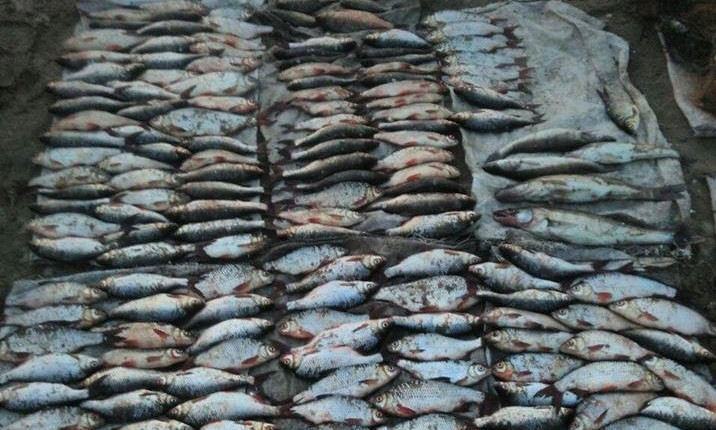 На Днепропетровщине полиция задержала браконьеров с крупным уловом 