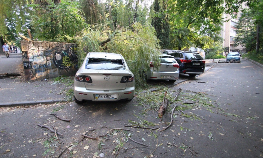 Древопад в Днепре: дерево упало на три автомобиля 