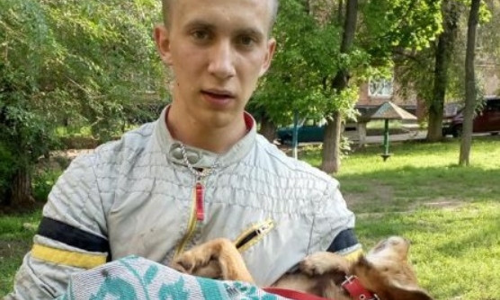 На Днепропетровщине студент спас провалившуюся в люк собаку
