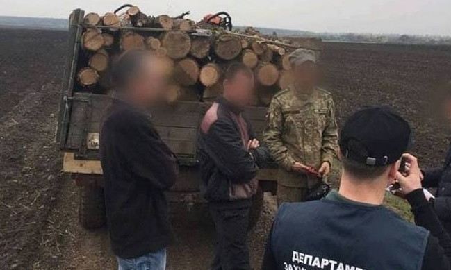 На Днепропетровщине работники лесной отрасли оказались на скамье подсудимых 