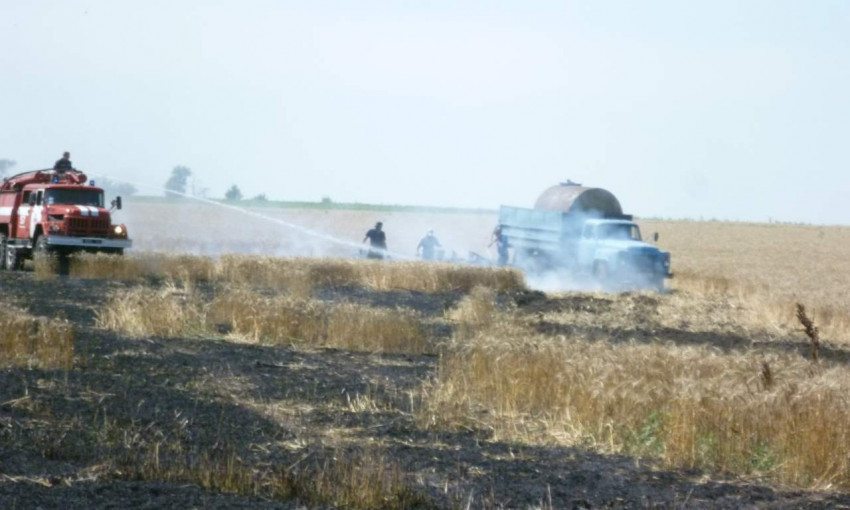 На Днепропетровщине горело поле озимой пшеницы 
