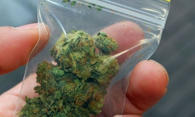 Под Днепром полиция обнаружила наркодилера с марихуаной 