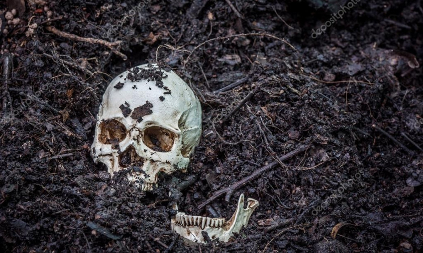 В Кривом Роге женщина нашла череп в лесопосадке 