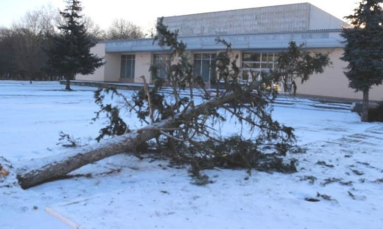 На Днепропетровщине военные поломали елку 