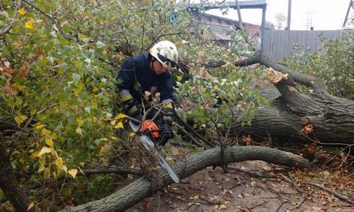 Древопад в Днепре: на проспекте Слобожанском  рухнуло большое дерево