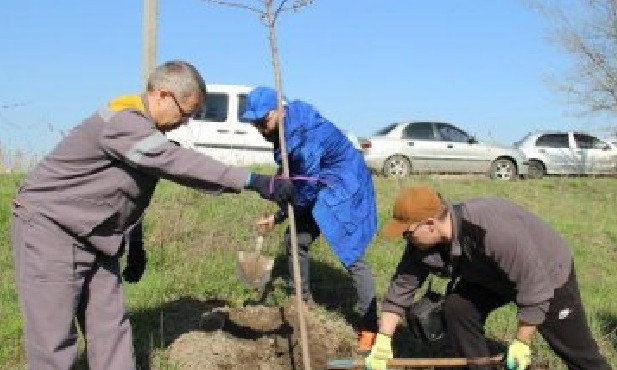 Чистый город: работники ДТЭК Приднепровской ТЭС высаживали деревья