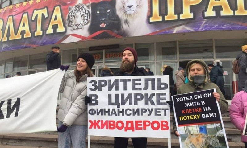 На Днепропетровщине зоозащитники устроили акцию протеста возле цирка
