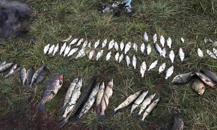 На Днепропетровщине полиция задержала браконьера с краснокнижной рыбой 