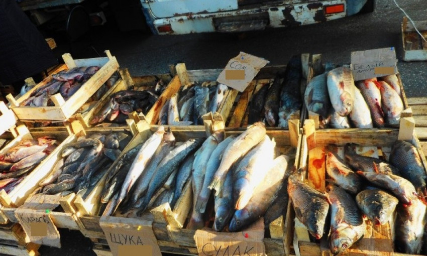 На Днепропетровщине на рынке продавали рыбу без документов 