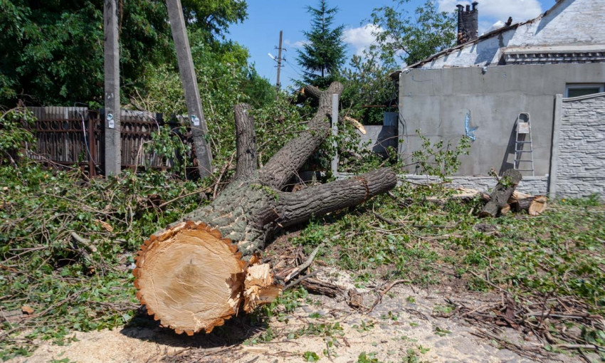 Древопад в Днепре: дерево упало на крышу дома 