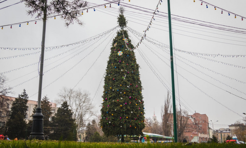 Новогодний Днепр: в парке Глобы завершена установка новогодней елки 