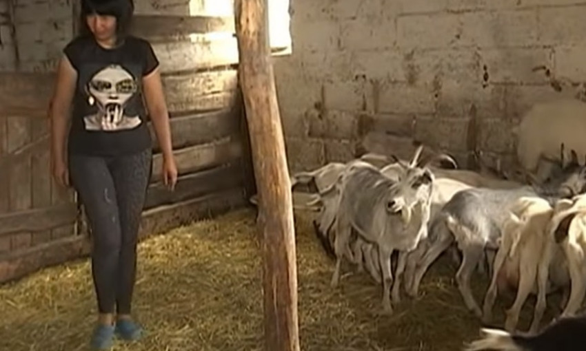На Днепропетровщине волонтеры спасли 35 коз