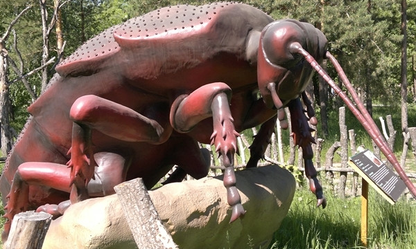 Гигантские насекомые в Днепре: новое креативное украшение города 