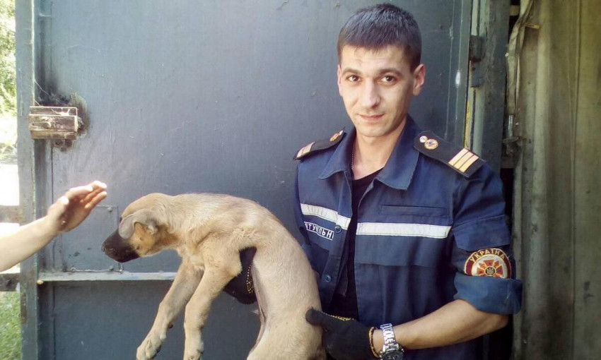 В Днепре сотрудники ГСЧС спасли застрявшего между гаражами щенка 