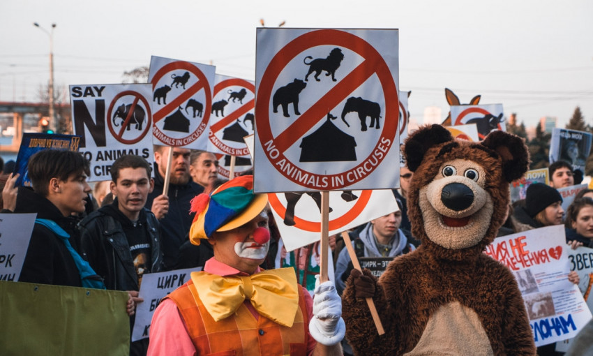 В Днепре зоозащитники протестовали против использования животных в цирке