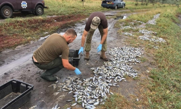 На Днепропетровщине расследуются причины массового замора рыбы 