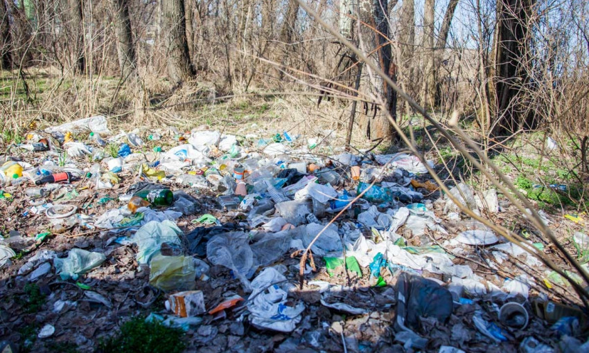 Обратная сторона праздника: днепряне оставили горы мусора на природе 