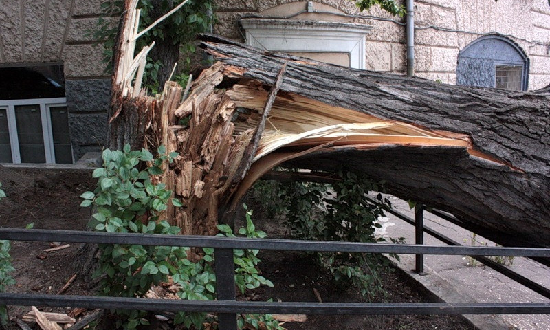 В Днепропетровске на людей падают деревья