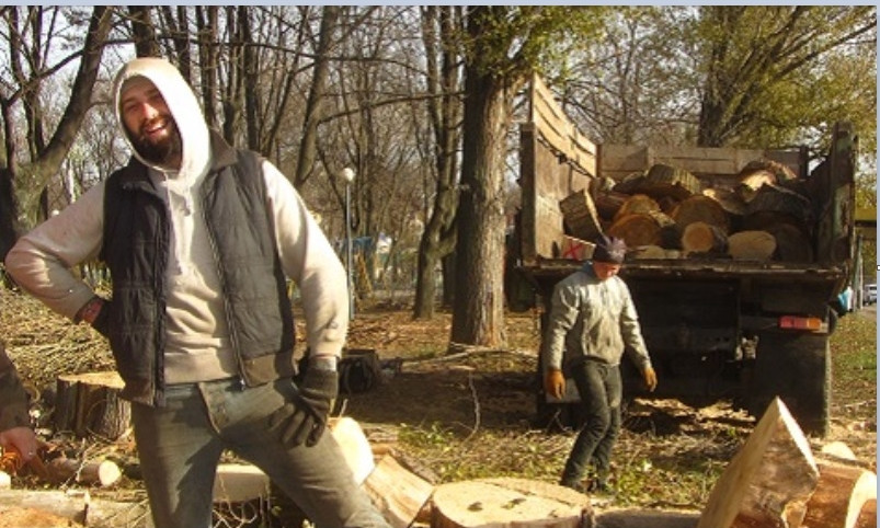 Из-за строительства нового жилья и метро в Днепре вырубят деревья 