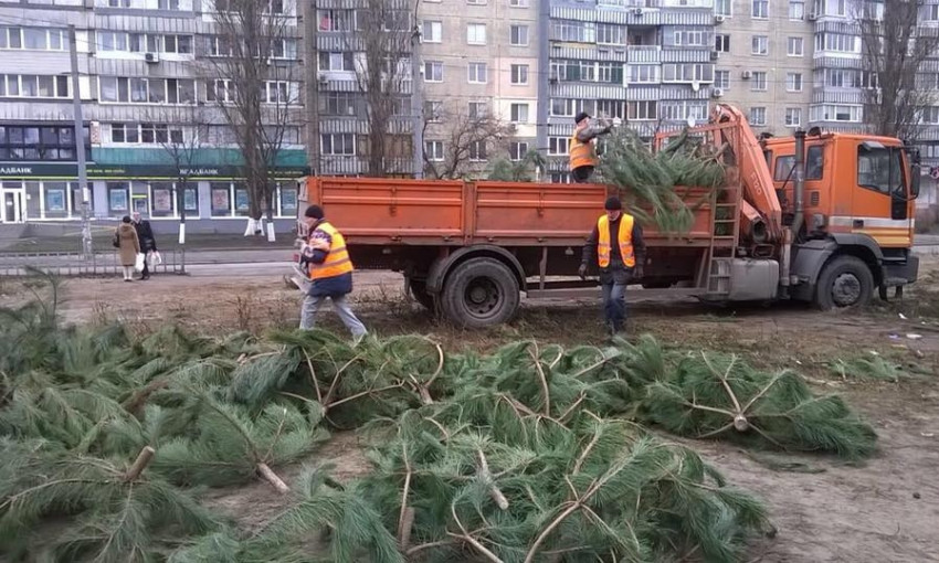 Михаил Лысенко высказался по поводу выброшенных елок 