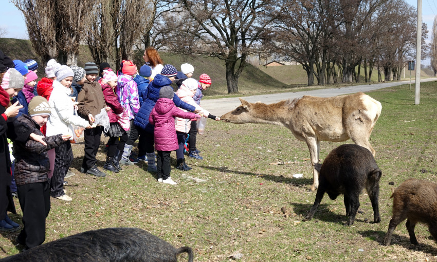 На Днепропетровщине школьники кормили оленей на химзаводе 