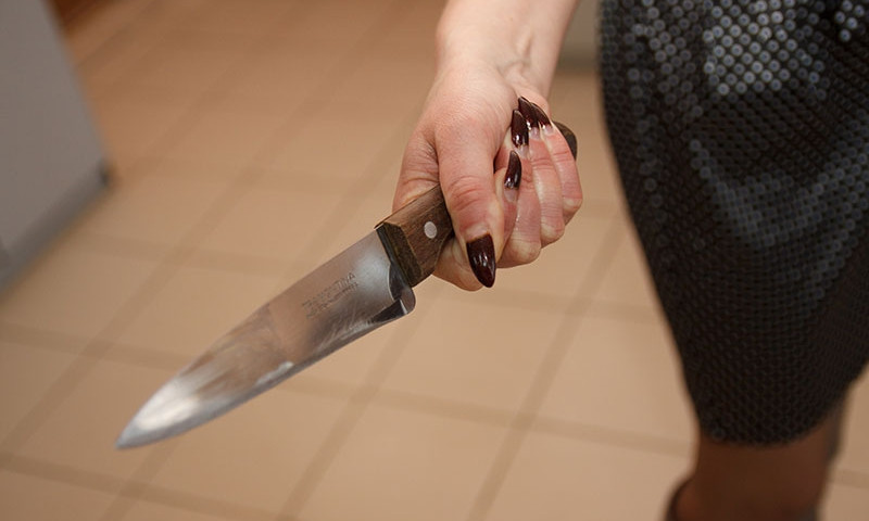 На Днепропетровщине женщина зарезала сожителя во время ссоры 