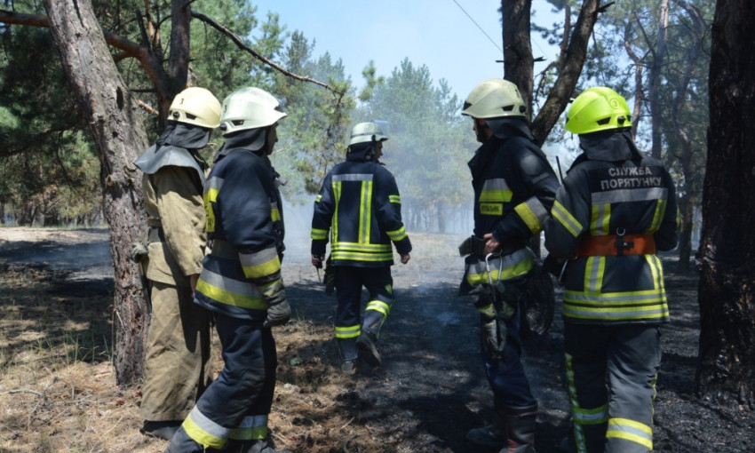 Пожарные Днепра потушили лесной пожар 