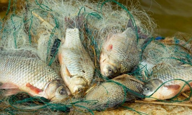 В Днепре полиция задержала браконьеров с большим уловом рыбы