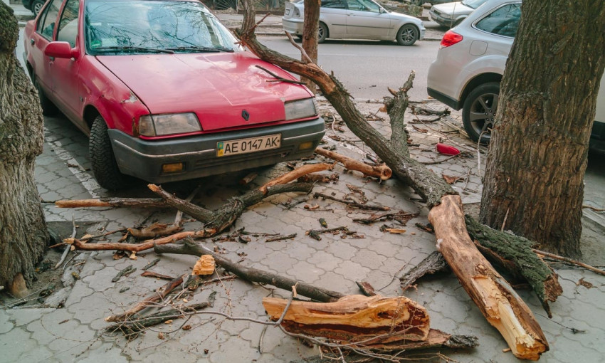 Древопад в Днепре: большая ветка дерева упала на автомобиль