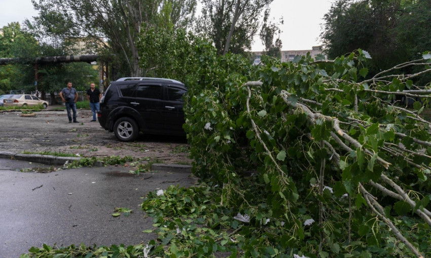 Древопад в Днепре: дерево упало на автомобиль 