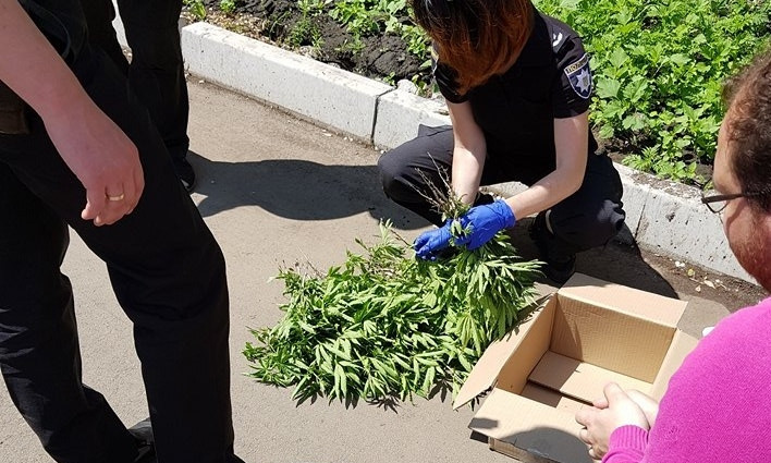 "Веселая" находка: на Днепропетровщине в парке нашли плантацию марихуаны