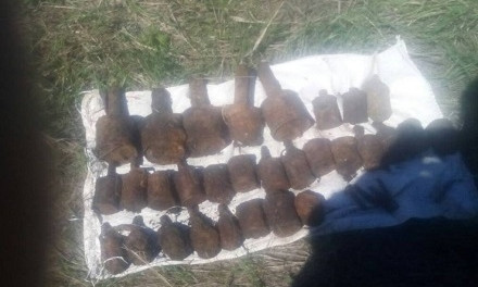 На Днепропетровщине обнаружили противотанковые гранаты 
