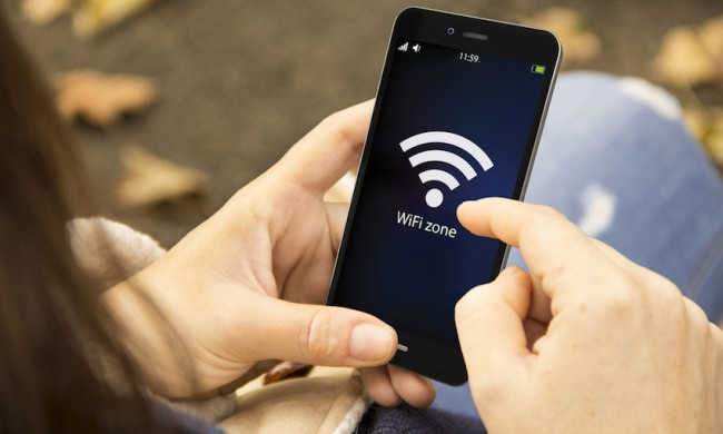 В Днепре Борис Филатов установит Wi-Fi дерево