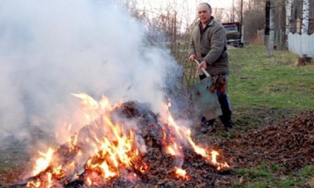 В Днепре предложили новые способы борьбы с поджигателями листьев 