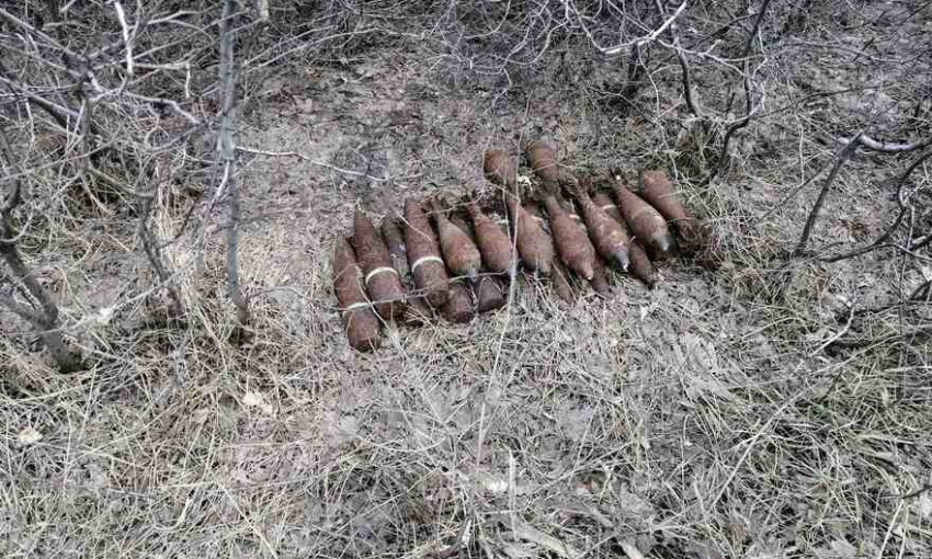 Жительница Днепропетровщины нашла боеприпасы