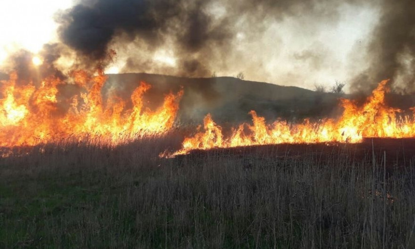 Пожар на Днепропетровщине: загорелся сухой камыш