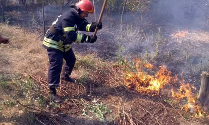 Пожар на Днепропетровщине: горело Куриловское лесничество 