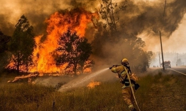 Пожар на Днепропетровщине: загорелось лесничество 