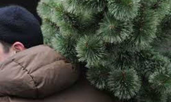 Новогодний Днепр: на Тополе украли наряженную елку 