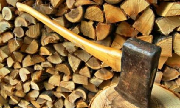 Днепровцы хотят заготавливать дрова из городских деревьев 