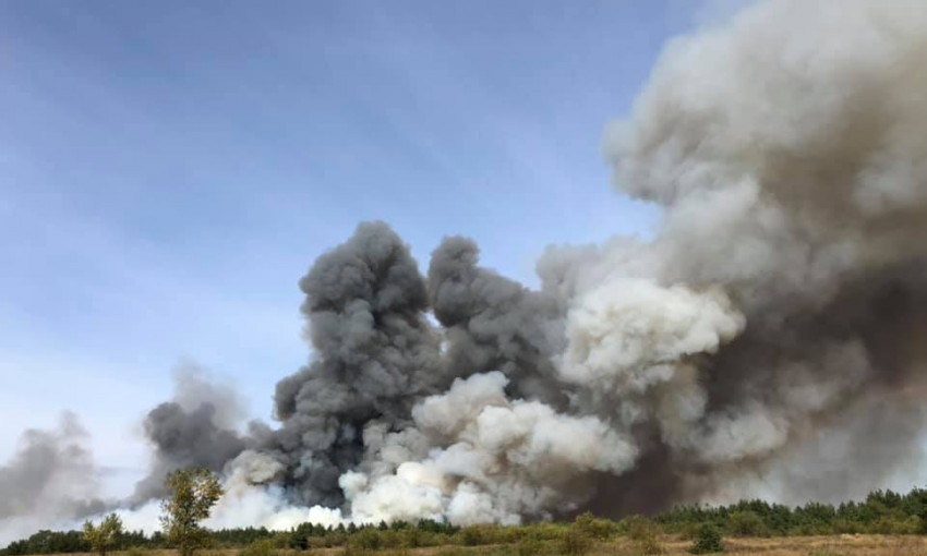 На Днепропетровщине за сутки сгорело 96 гектаров растительности