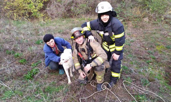 На Днепропетровщине сотрудники ГСЧС вытащили собаку из канализационного коллектора