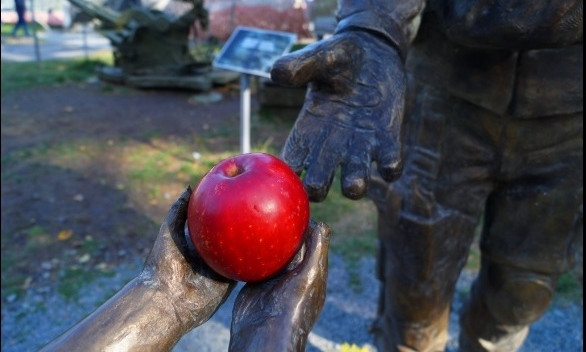 Яблочный флешмоб в днепровском музее АТО