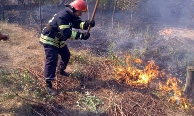 На Днепропетровщине сгорели 2 гектара леса