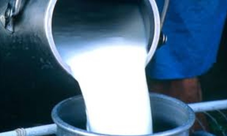 Жители региона озадачены прогнозом цен на молоко и молочную продукцию