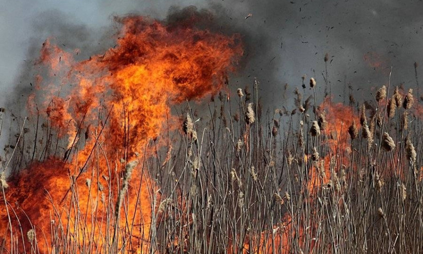 Пожар на Днепропетровщине: сотрудники ГСЧС тушили камыши
