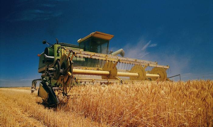 Жатва в регионе: аграрии собрали более 1,8 млн тонн пшеницы