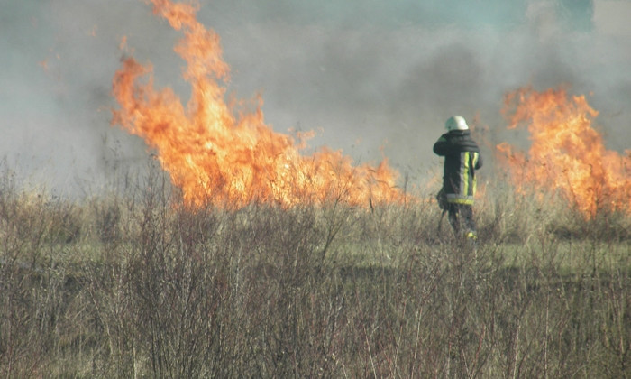 Спасатели рассказали о пожарах в экосистемах области